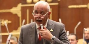النائب حازم الجندي: تطوير قناة السويس يعكس رؤية استراتيجية لبناء اقتصاد وطني مستدام - كورة نيوز