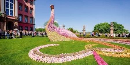 عيد الألوان.. كرنفال الزهور والفنون يزين جزيرة كابرايا الإيطالية - كورة نيوز