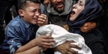 إقليم إيطالى يقطع علاقاته مع إسرائيل بسبب مجازر غزة - كورة نيوز