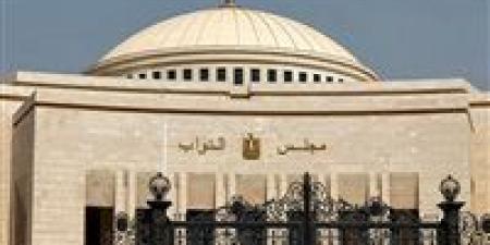 انطلاق
تصويت
المصريين
بالخارج
بانتخابات
مجلس
النواب - كورة نيوز