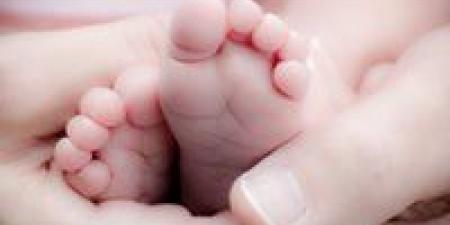 العثور
على
رضيع
حديث
الولادة
مجهول
النسب
داخل
الزراعات
بقنا - كورة نيوز