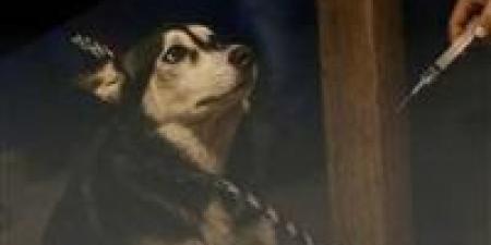 كلب
      يعقر
      3
      أطفال
      بقرية
      ميت
      ربيعة
      في
      الشرقية - كورة نيوز