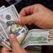سعر الدولار اليوم الإثنين 12-5-2025 أمام الجنيه المصرى فى منتصف التعاملات - كورة نيوز