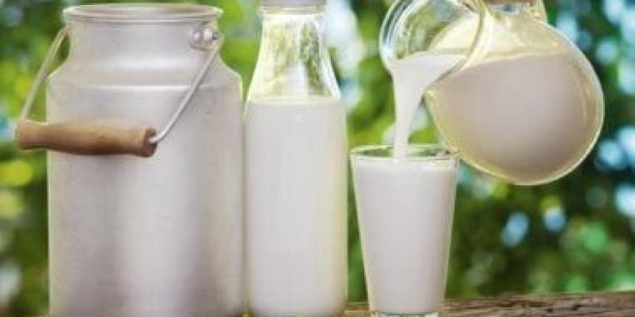 باحث: اللبن البقرى الأفضل لكبار السن والأطفال والجاموسى للشباب - كورة نيوز