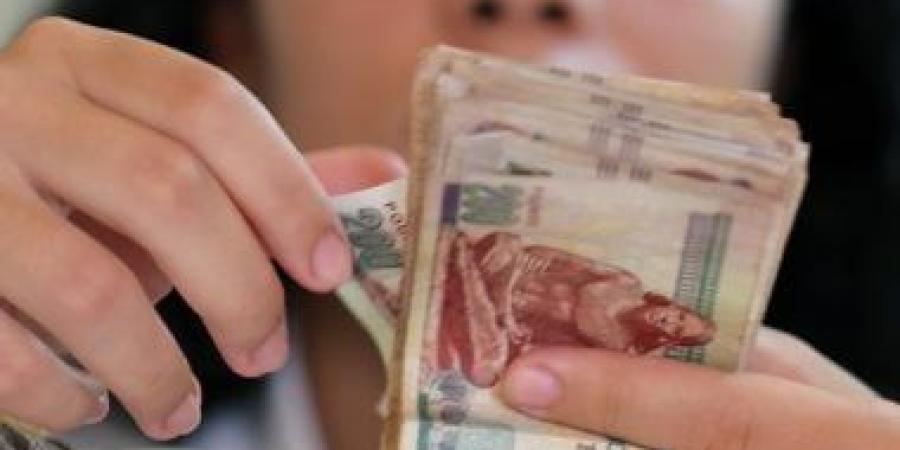 64 % حصة الشركات من تمويل المشروعات متناهية الصغر في مصر - كورة نيوز