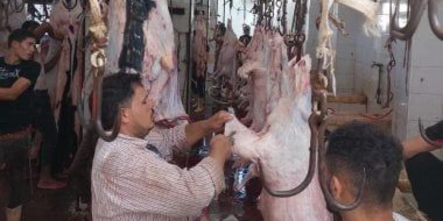 الطب البيطرى: دعم المجازر بالأطباء البيطريين استعداداً لعيد الأضحى - كورة نيوز