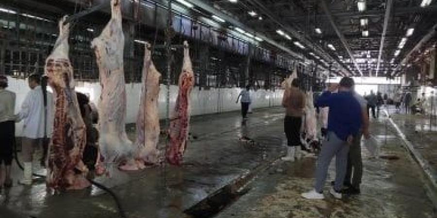 احذر.. القانون يعاقب ذبح الأضاحى خارج المجازر الرسمية بالحبس سنة - كورة نيوز