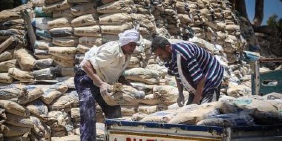 تعرف على سعر الأسمنت اليوم الأربعاء 18- 6- 2025.. الطن بـ4 آلاف جنيه - كورة نيوز