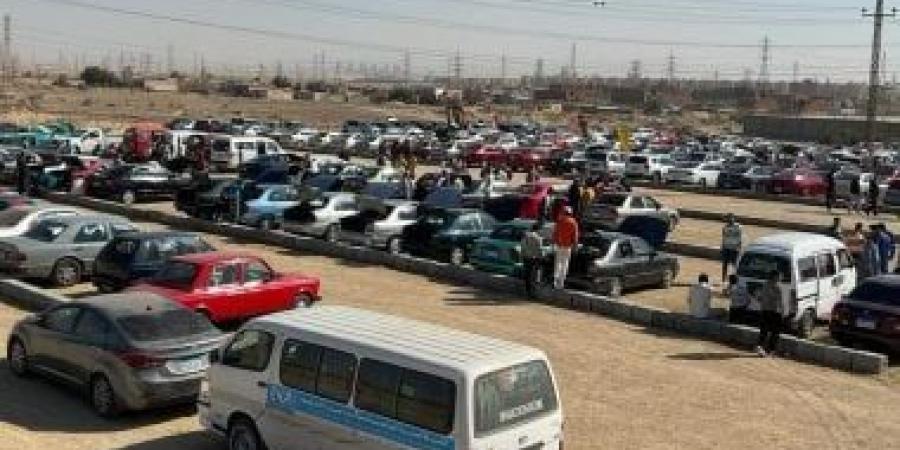 زيادة تراخيص السيارات المتنوعة فى مايو 2025 بنسبة 24.5% - كورة نيوز