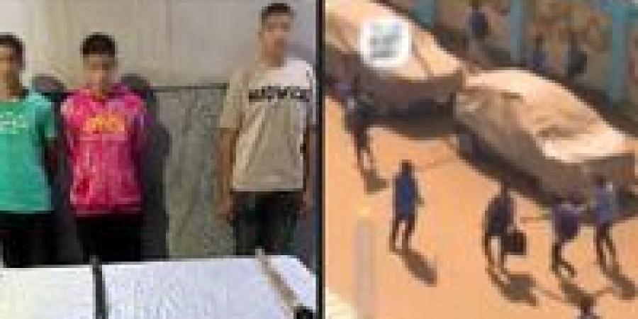 «هزار
      قلب
      جد»..
      «الداخلية»
      تكشف
      ملابسات
      مشاجرة
      بين
      طلاب
      أمام
      مدرسة
      في
      أسيوط - كورة نيوز