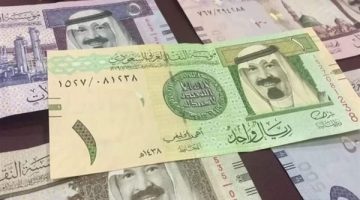 الريال السعودى يسجل 13.44 جنيه فى البنك الاهلى المصرى مع بداية تعاملات اليوم
