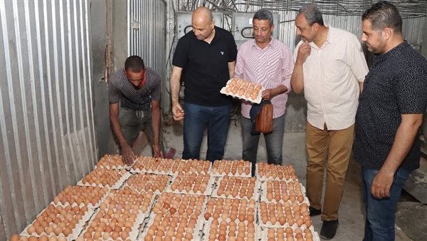 السكرتير العام المساعد لبني سويف يتفقد سير العمل بمشروعات الدواجن