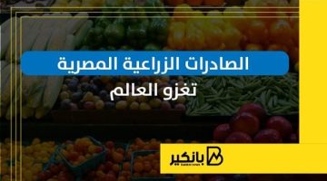الصادرات الزراعية المصرية تغزو العالم
