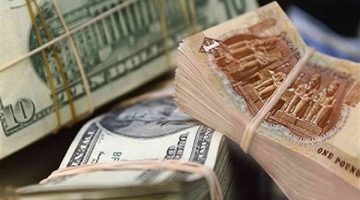 الضربة القاضية لـ”خفافيش الدولار”.. إزاي البنك المركزي خلص على تجار العملة وسيطر على سوق الصرف؟