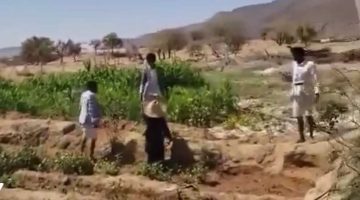 العيب الأسود في صعدة.. ميليشيا الحوثي تضرب امرأة أمام ابنها العاجز (فيديو)