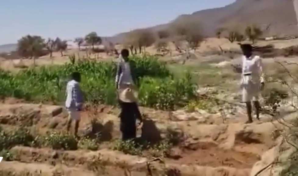 العيب الأسود في صعدة.. ميليشيا الحوثي تضرب امرأة أمام ابنها العاجز (فيديو)
