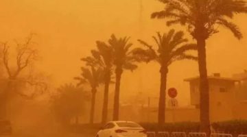 حالة الطقس في الكويت اليوم الجمعة 20 يونيو 2025
