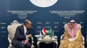 على هامش اجتماعات منظمة التعاون الإسلامي في أسطنبول.. وزير الخارجية والهجرة يلتقي بنظيره السعودي