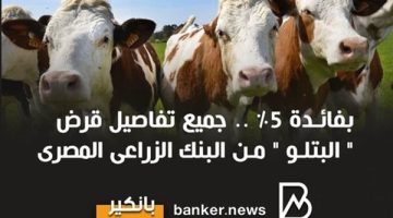 قرض البتلو من البنك الزراعي المصري.. فائدة 5% فقط وبدون مصارف إدارية