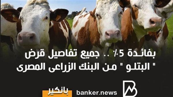 قرض البتلو من البنك الزراعي المصري.. فائدة 5% فقط وبدون مصارف إدارية