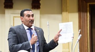 قوة وحكمة السيسي أنقذت الوطن في 30 يونيو من مخطط الإخوان لتدمير الدولة