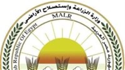 لتصبح جنة خضراء.. ما هي خطة الدولة للتوسع في الزراعة ومكافحة التصحر والجفاف ؟